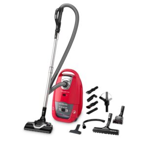 ROWENTA ASPIRADOR 450W SACO 4,5LT